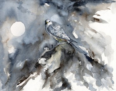 Observación de halcones a la luz de la luna de RodMacIver