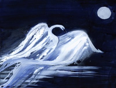 Cisne a la luz de la luna de RodMacIver