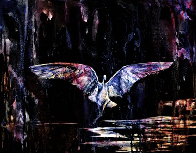 Vuelo nocturno místico de RodMacIver