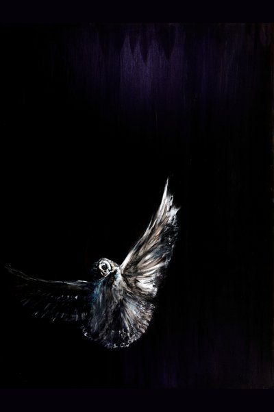 El vuelo nocturno del búho de RodMacIver