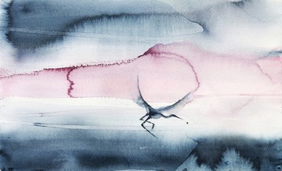 El vuelo del pájaro del cielo rosa de RodMacIver