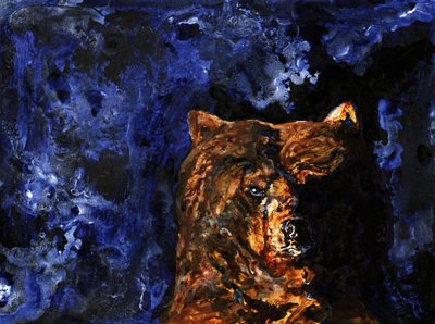 La mirada imponente del oso pardo de RodMacIver