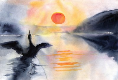  de RodMacIver