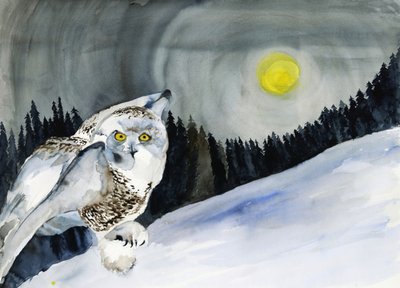 Luna de invierno y búho nival de RodMacIver