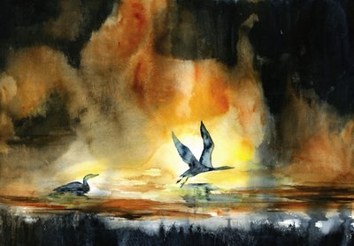Aves acuáticas al atardecer de RodMacIver