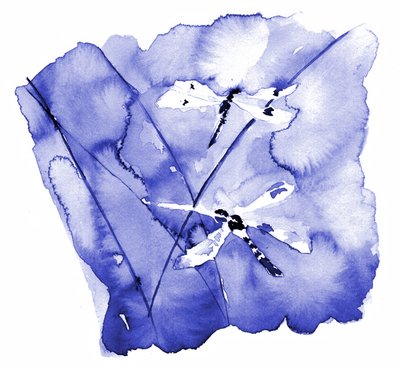 Libélulas azules en acuarela de RodMacIver