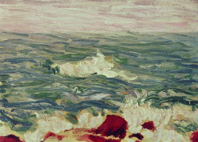Paisaje marino de Roderic OConor