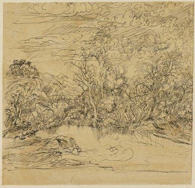Orilla de un estanque de Rodolphe Bresdin