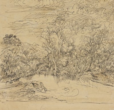 Orilla de un estanque de Rodolphe Bresdin