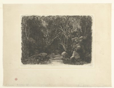 Paisaje forestal con un arroyo y árboles en voladizo
Le Ruisseau sous bois de Rodolphe Bresdin