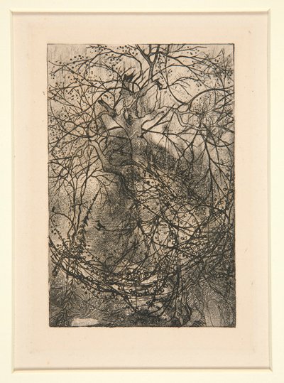 Sucursales de Rodolphe Bresdin