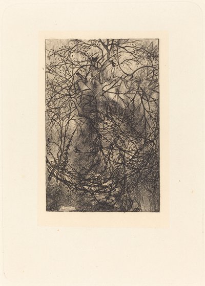 Ramas de Rodolphe Bresdin