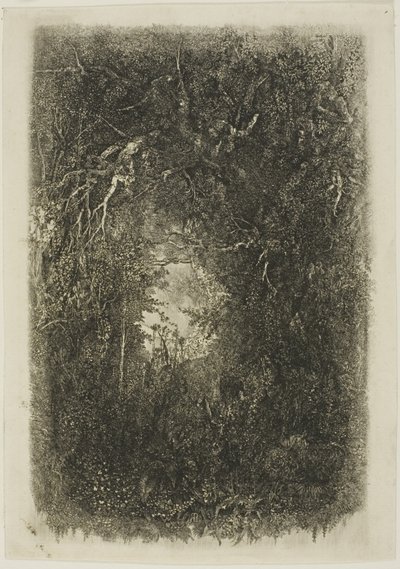 Despeje en el Bosque de Rodolphe Bresdin