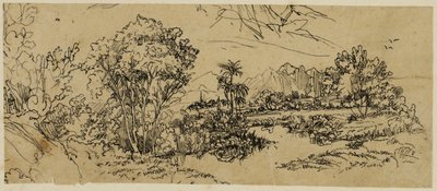 Paisaje de la costa oeste de Rodolphe Bresdin