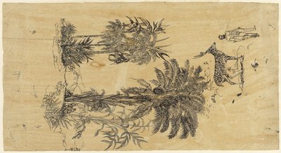 Hoja de estudio con palmeras en dos grupos de Rodolphe Bresdin