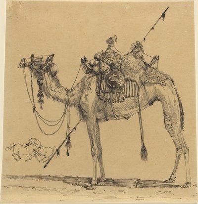 El camello de Rodolphe Bresdin