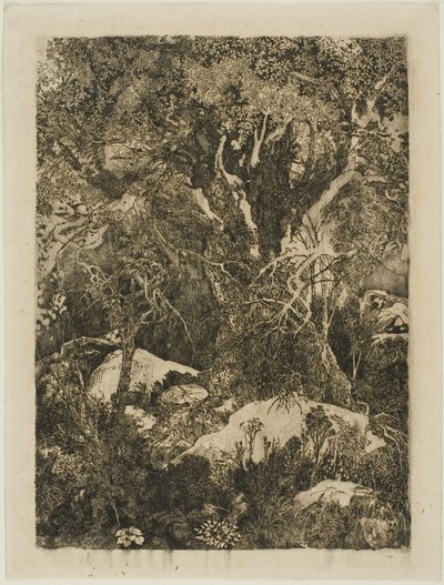El bosque de Fontainebleau de Rodolphe Bresdin