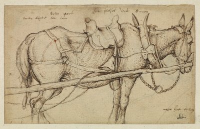 Mula con arnés de Roelandt Jacobsz. Savery