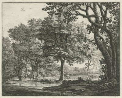 Ciervo en el Bosque de La Haya Rostros en Haagse Bos (título de la serie) de Roelant Roghman