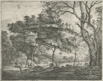 Ciervo en el Bosque de La Haya de Roelant Roghman