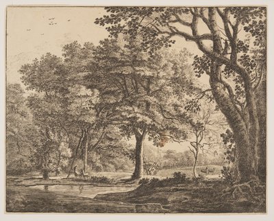 Lámina. 6, de Seis vistas en el bosque de La Haya de Roelant Roghman