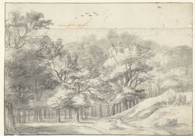 Ver en el Haagse Bos de Roelant Roghman