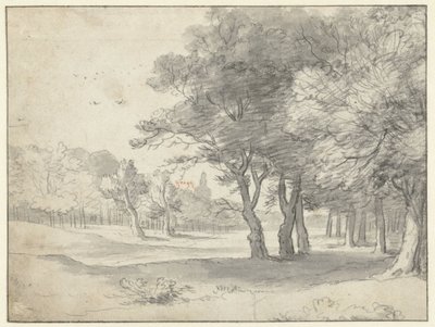 Ver en Haagse Bos, con Grote Kerk, La Haya, en la distancia de Roelant Roghman