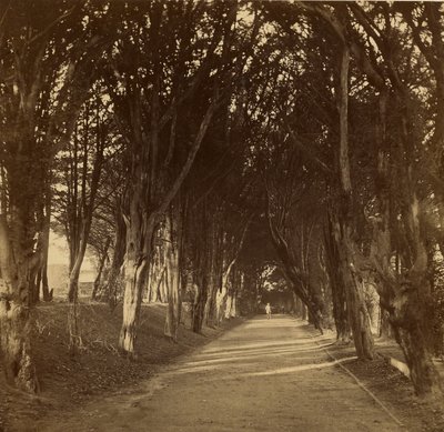 El Paseo Oscuro; Stonyhurst de Roger Fenton