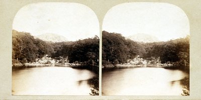  de Roger Fenton