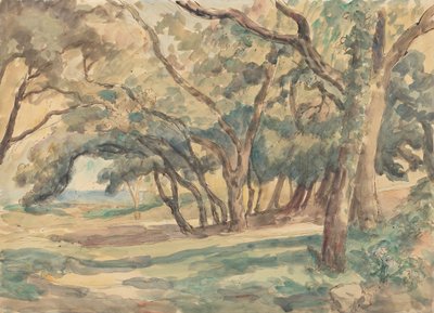 Claro arbolado cerca de St. Tropez de Roger Fry