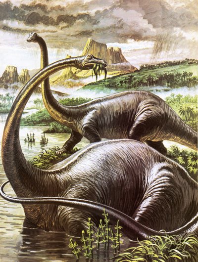 Diplodocus de Roger Payne
