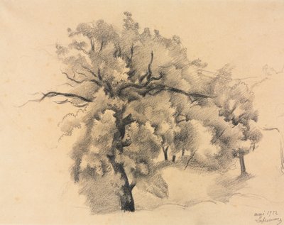 Estudio de Árboles de Roger de La Fresnaye