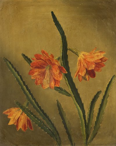 Estudio de flores de Rolinda Sharples
