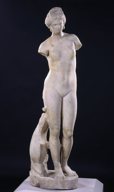 Afrodita de Cirene de Roman