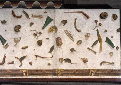 “Asarotos” (Suelo sin barrer) Fragmentos de mosaico firmado por Harakliton de Roma, siglo II d.C., Roma de Roman