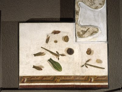 Asarotos (Piso sin barrer) Fragmentos de mosaico firmado por Harakliton de Roma, siglo II d.C., Roma de Roman