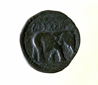 Moneda de Cartago representando un elefante. Siglo III o II a.C. de Roman