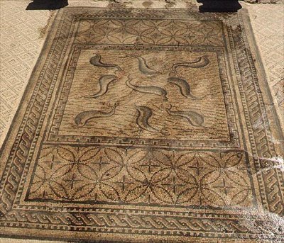 Delfines, mosaico romano de la Casa de Orfeo, siglo III d.C. de Roman