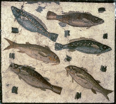 Peces (mosaico) de Roman