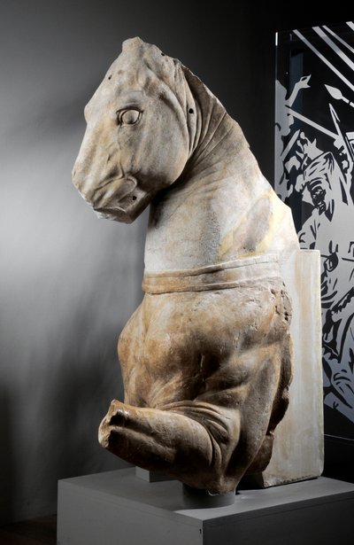 Parte frontal de un caballo de Roman