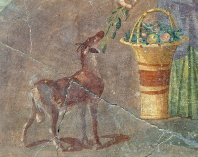 Cabra y cesta de frutas, fresco de Pompeya, Campania, Italia, civilización romana de Roman