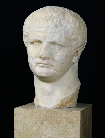 Cabeza de Tito (39-81) de Roman