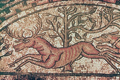 Pavimento de Hinton St. Mary (detalle) c.350 d.C. de Roman
