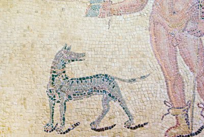 Hipólito y Fedra (detalle del perro de Hipólito) de Roman