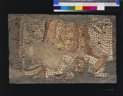Mosaico de la Casa de Menandro con Zeus, siglo III - IV de Roman