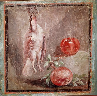 Perdiz y granadas (fresco) de Roman