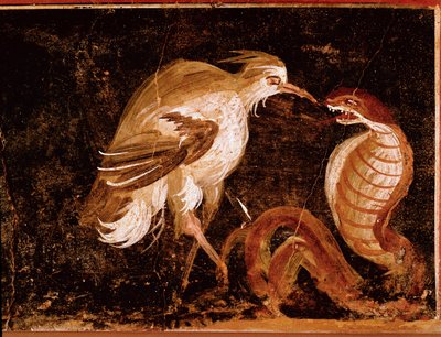 Arte romano: Lucha entre una garza y una cobra. Fresco romano de la casa de los Epigramas, Pompeya, Italia (60-80 d.C.) de Roman
