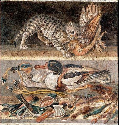 Arte romano: gato comiendo una perdiz y patos salvajes Primera mitad del siglo I a.C. Roma, Museo Nazionale Romano de Roman