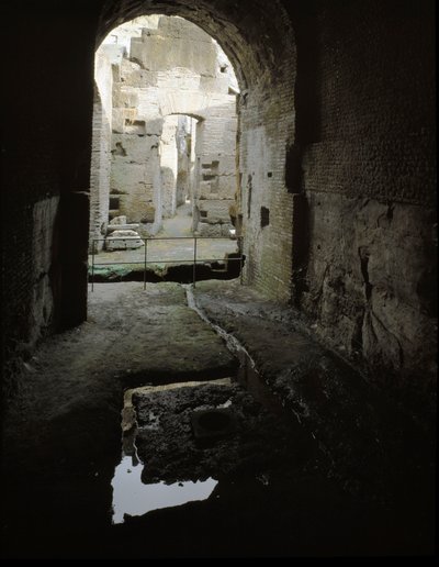 Arte romano: vista de los pasajes subterráneos del Coliseo en Roma, Italia de Roman