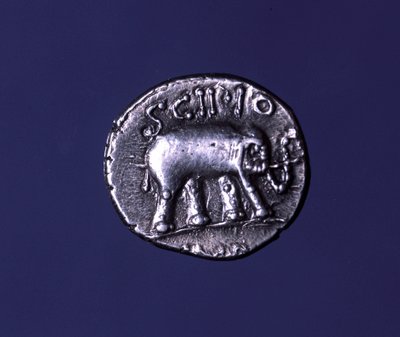 Moneda de plata que representa un elefante, animal fetiche de los Escipiones. Lucius Caecilius Metellus capturó los elefantes cartagineses en 251 a.C. 47-46 a.C. de Roman